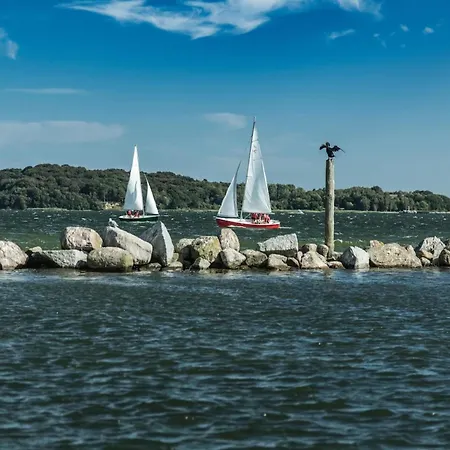 Blue House, Lejlighed