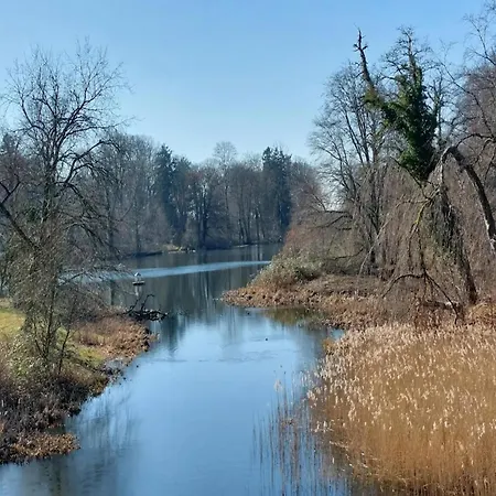 Blue House, פוטבוס