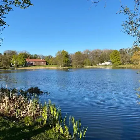 Blue House, * פוטבוס