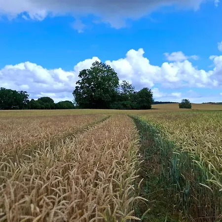 Lejlighed Blue House,